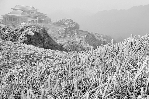 Dự báo thời tiết tuần cuối tháng 1: Ngày 30 có không khí lạnh tăng cường - ảnh 1