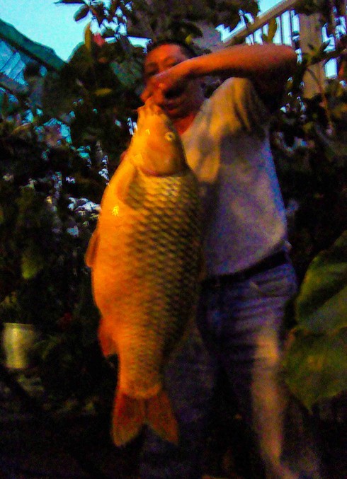 Di Linh, Lâm Đồng: Câu được cá chép vàng