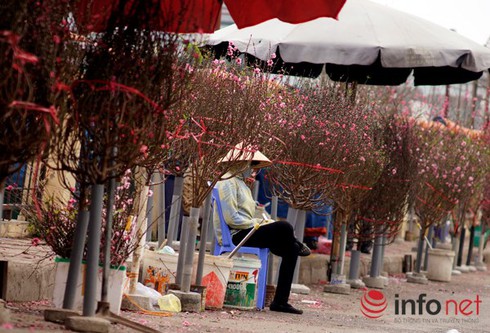 Dự báo thời tiết 10 ngày đầu tháng 2: Bắc bộ nhiều mây, mưa nhỏ, trời rét - ảnh 1