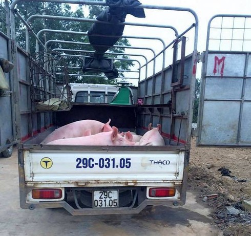 Bắt quả tang một vụ