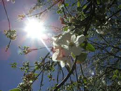 Thời tiết Hà Nội hôm nay 27/2 oi, nắng; Bắc bộ chuẩn bị đón không khí lạnh - ảnh 1