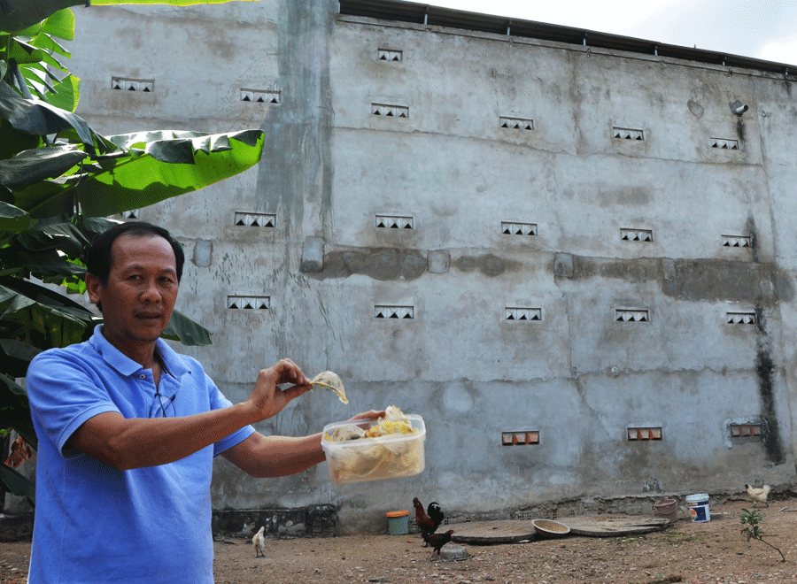 Những tỷ phú nuôi chim yến ở ... Tây Nguyên - ảnh 1