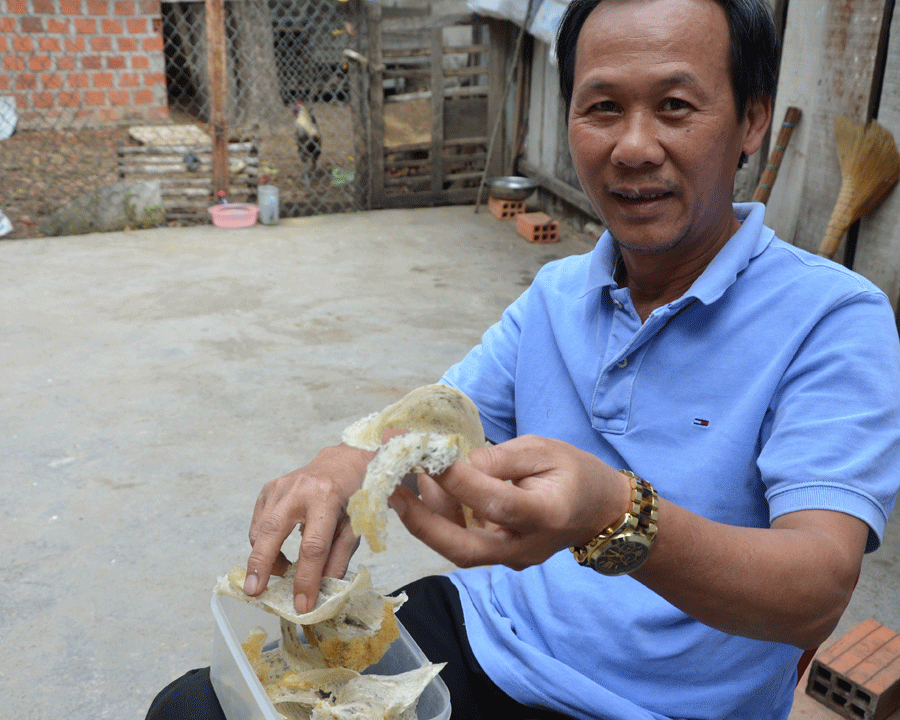 Những tỷ phú nuôi chim yến ở ... Tây Nguyên - ảnh 2