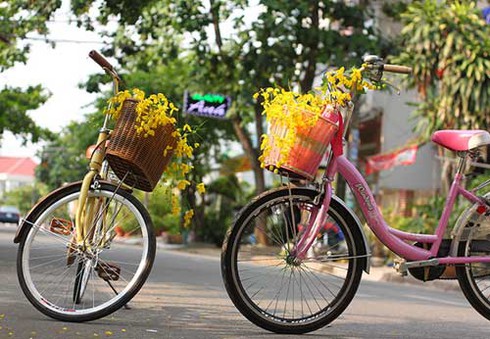 Sài Gòn mùa hoa bò cạp vàng - ảnh 6