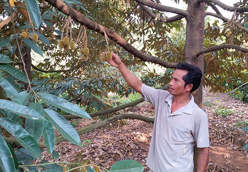 Hội của những nông dân triệu phú - ảnh 1