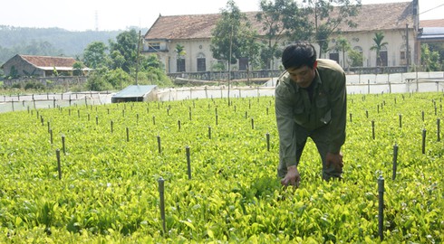 Tỷ phú... mù chữ - ảnh 1