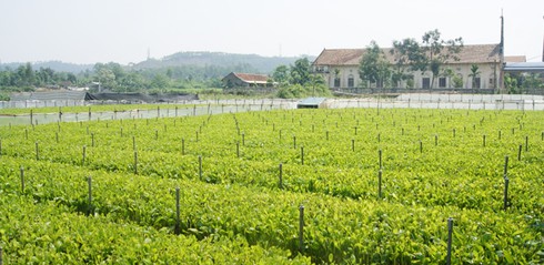 Tỷ phú... mù chữ - ảnh 3