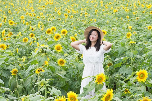 Bữa đại tiệc truyền thông làm mê mẩn lòng người của TH Truemilk - ảnh 3