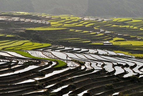 Sa Pa quyến rũ mùa nước đổ - ảnh 6