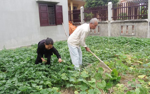 Chuyện về một tổ giáo viên bổ túc văn hóa - ảnh 1