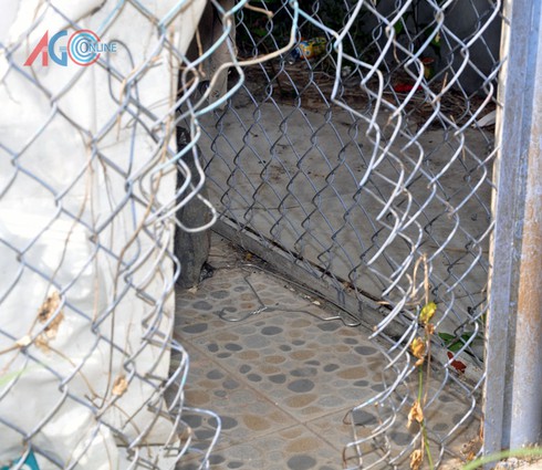 An Giang: Xuất hiện băng nhóm gây mê, trộm tài sản tại Khu dân cư Sao Mai? - ảnh 2