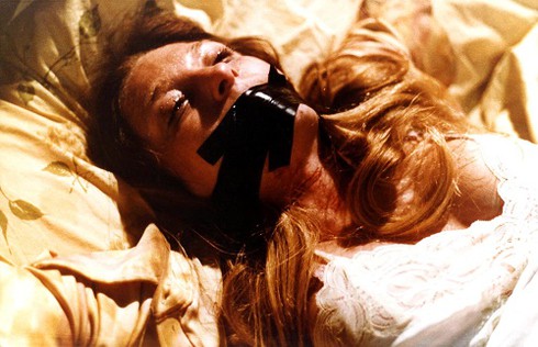 13 phim kinh dị dựa trên chuyện có thật - ảnh 3