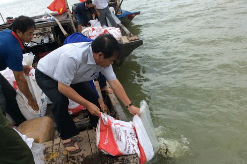 Thả 250 ngàn con cá giống xuống hồ Trị An - ảnh 2