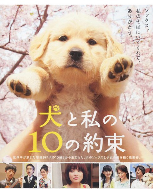 10 phim cảm động nhất về loài chó - ảnh 3