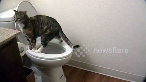 Máy hút bụi đắt nhất thế giới - ảnh 2