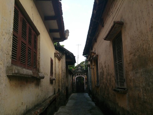 Lạnh lẽo làng biệt thự giữa lòng Hà Nội - ảnh 3