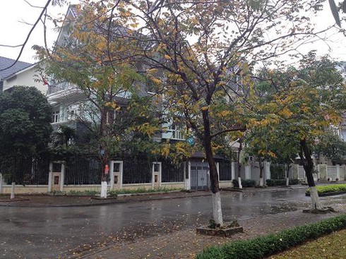 Cảnh báo mưa dông 25/7 và dự báo thời tiết 10 ngày tới - ảnh 1