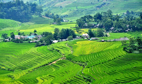 Mùa vàng ở Sàng Ma Sáo - ảnh 5