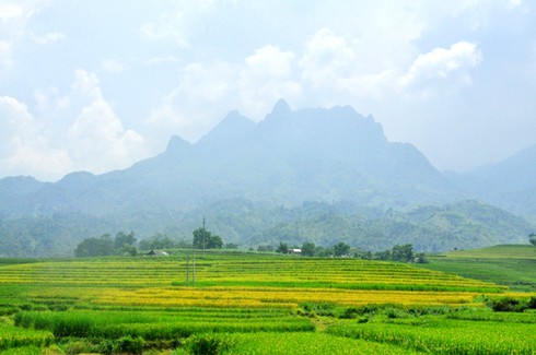 Mùa vàng ở Sàng Ma Sáo - ảnh 7