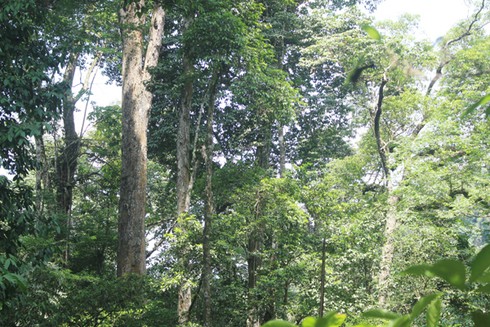 “Kho báu ngàn cổ” đầu nguồn nước - ảnh 1