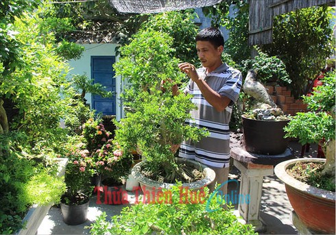 Thợ săn cây cảnh ngoại tỉnh - ảnh 1