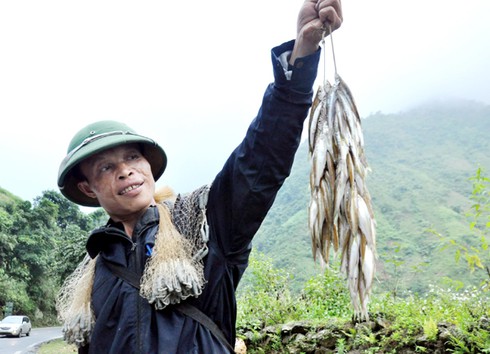 Ðậm đà cá suối Sa Pa - ảnh 1