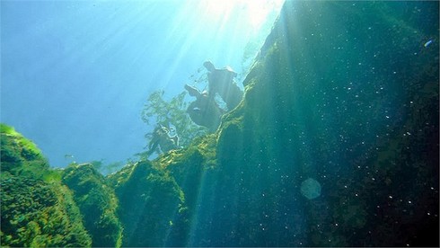 Mạo hiểm nhảy xuống giếng tử thần - ảnh 12