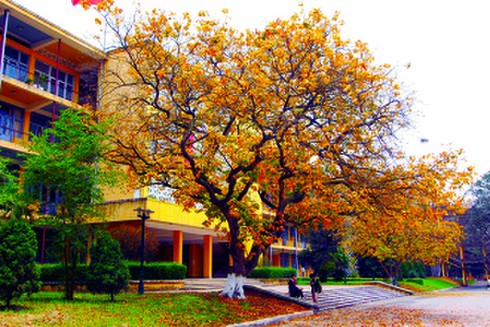 Khung cảnh lãng mạn ở Đại học Bách khoa Hà Nội - ảnh 9