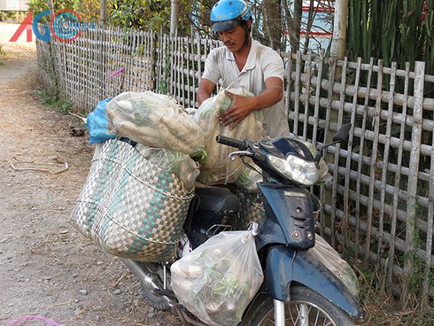 Củ cải trắng lên ngôi - ảnh 4