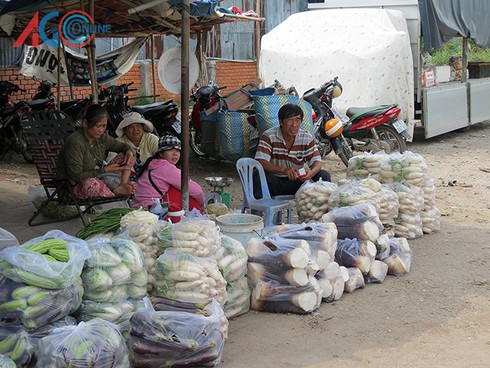 Củ cải trắng lên ngôi - ảnh 7