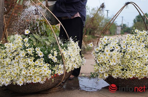 Dự báo thời tiết ngày 18/11: Hà Nội có mưa vài nơi, trưa chiều trời nắng - ảnh 1