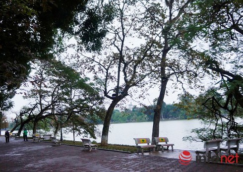 Dự báo thời tiết 26/11: Hà Nội trời rét, Đông Bắc bộ dưới 15 độ C - ảnh 1