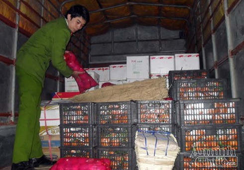 Bắc Giang: Bắt vụ vận chuyển 3 tấn quýt Trung Quốc không có hoá đơn - ảnh 1