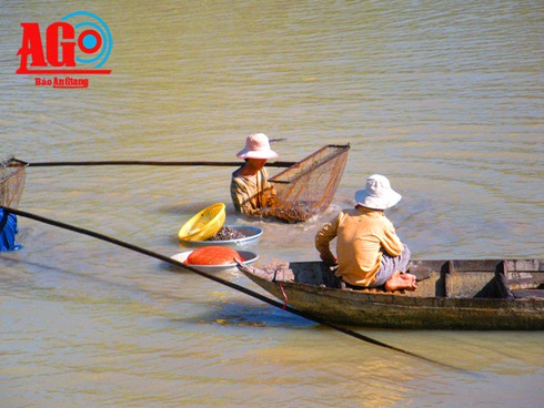 Nhọc nhằn nghề “cạo da hà bá” - ảnh 1