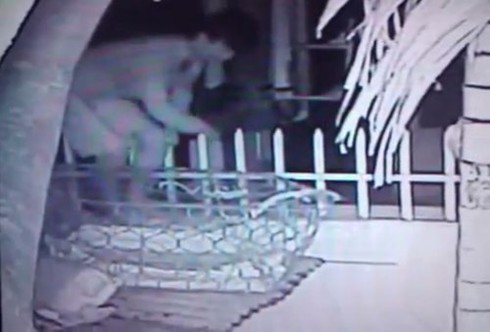 Xông vào nhà bắt gà và chém chủ nhà - ảnh 1