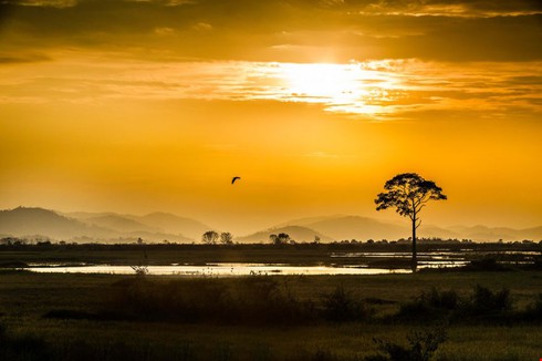 Ngất ngây vẻ đẹp Việt Nam trên trang ảnh nước ngoài - ảnh 4