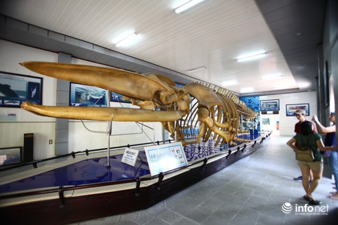 6 điểm đến trong lòng TP Nha Trang vô cùng hấp dẫn - ảnh 4