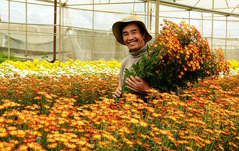 Ba đời làm giàu từ nghề trồng hoa - ảnh 1