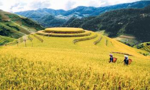 Cao Bằng: Tổng kết 5 năm thực hiện Chương trình Mục tiêu quốc gia xây dựng NTM - ảnh 1