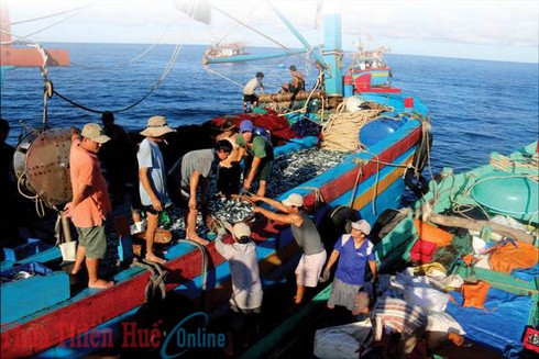 Chợ cá giữa biển khơi - ảnh 1