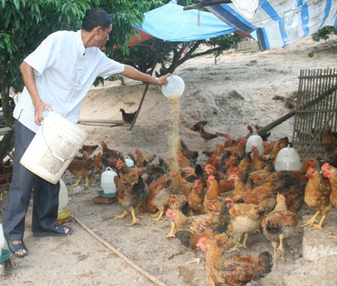 Ông Dân “làm quan” và “ông quan” làm dân - ảnh 1