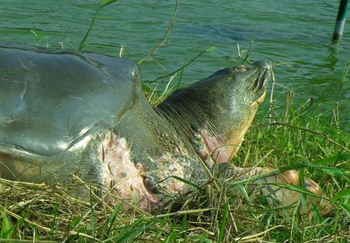 Những điều ít người biết về