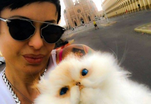 Mèo thật nhồi bông - ảnh 1