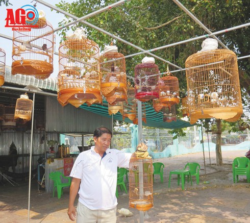 Thú chơi chim “vua” - ảnh 1