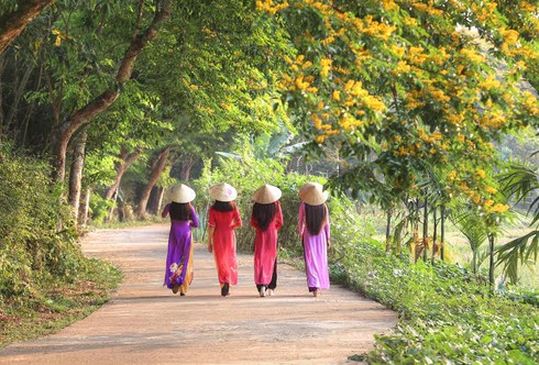 Về Tiên Phước giữa mùa hoa sưa - ảnh 1