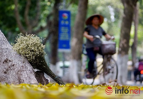 Dự báo thời tiết ngày mai 4/5: Nắng nóng chấm dứt, Hà Nội có mưa rào và dông - ảnh 1