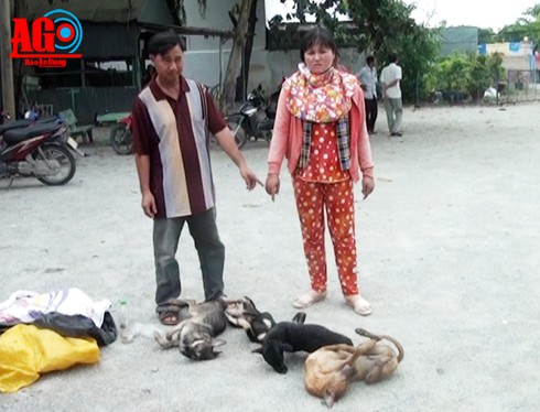 Vợ chồng đi…trộm chó - ảnh 1