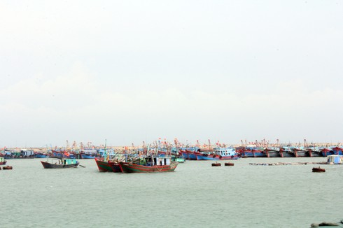 100% tàu thuyền khai thác ở khu vực biển Cô Tô đã vào nơi tránh trú an toàn - ảnh 1