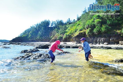 Có một Lý Sơn thu nhỏ ở đất liền - ảnh 1