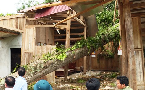 Dông lốc, sét đánh làm chết 2 người ở Lào Cai - ảnh 1